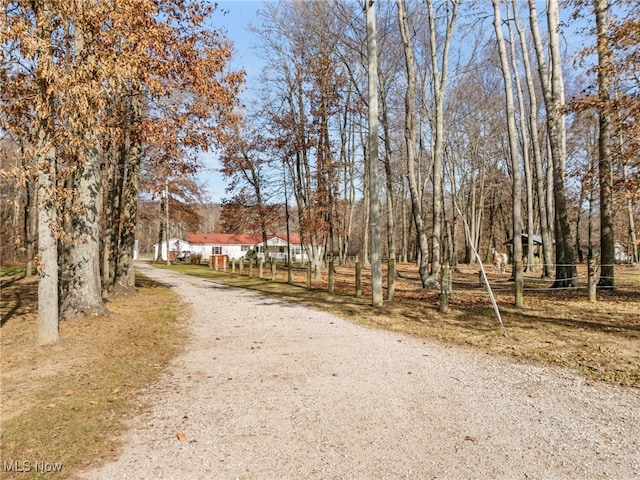 view of road with driveway