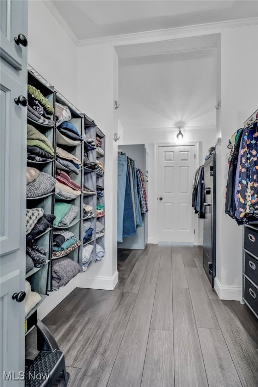 spacious closet featuring wood finished floors