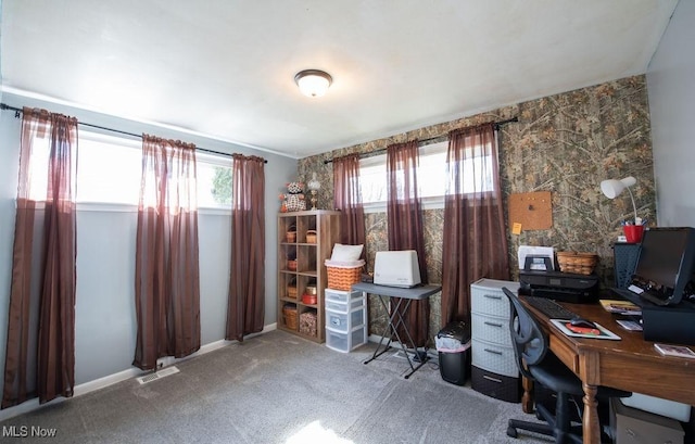 10684 Barcus Ave NE, Alliance, OH 44601 - office space with carpet, visible vents, and baseboards