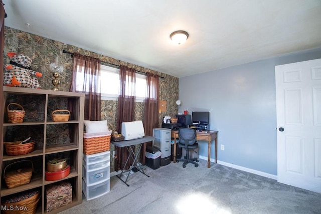 10684 Barcus Ave NE, Alliance, OH 44601 - office area featuring baseboards and carpet flooring