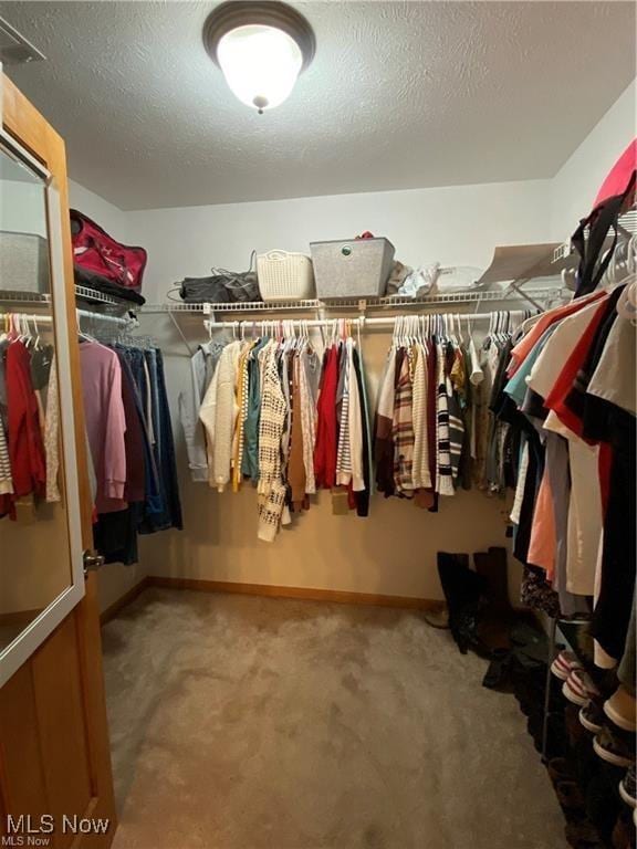 5 Grandview Dr, Mineral Wells, WV 26150 - walk in closet with carpet flooring