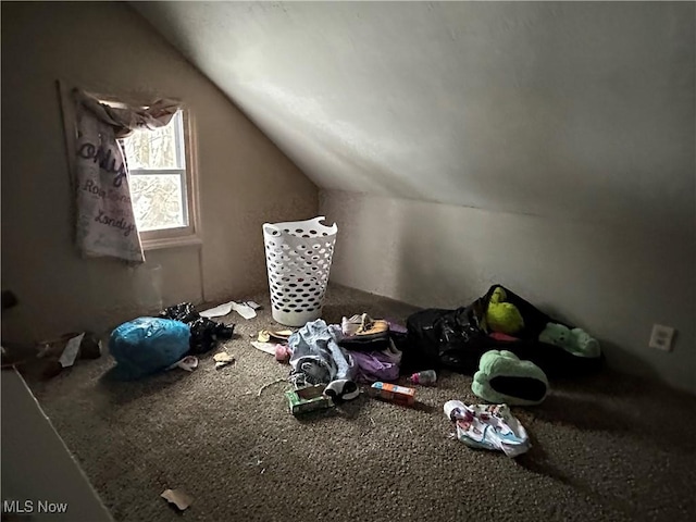 bonus room with lofted ceiling