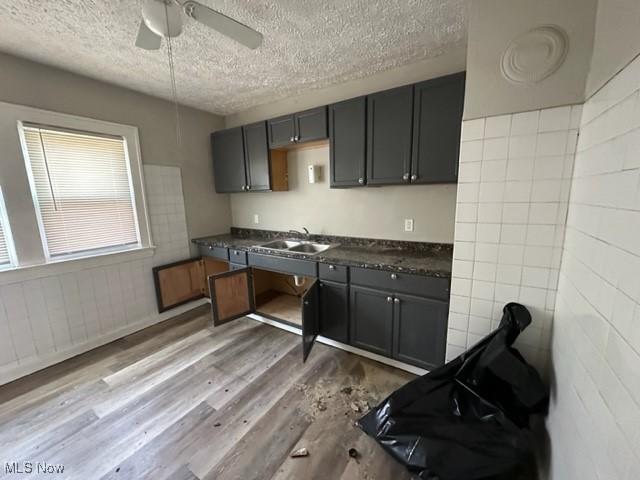 kitchen featuring light wood-type flooring, dark countertops, a sink, and a textured ceiling