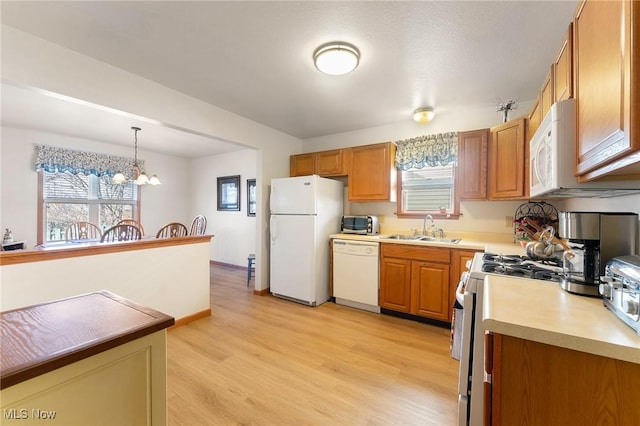 kitchen with white appliances, a healthy amount of sunlight, a sink, and light wood-style floors