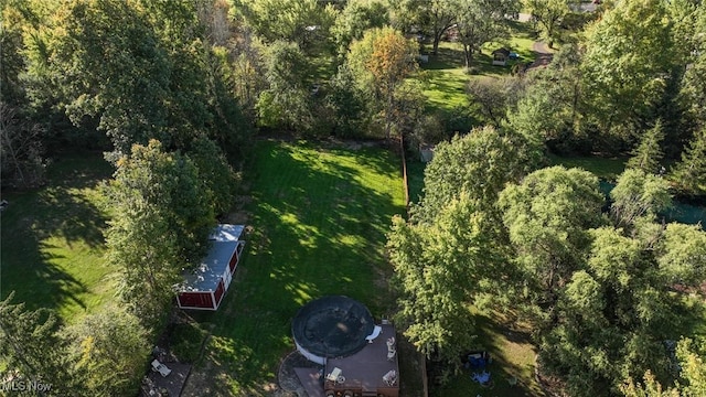 bird's eye view featuring a view of trees