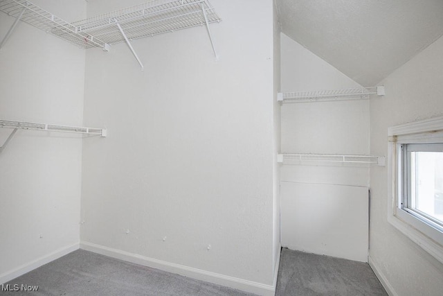 11915 Franklin Blvd, Lakewood, OH 44107 - walk in closet with lofted ceiling and carpet floors