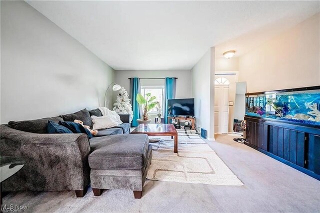 11915 Franklin Blvd, Lakewood, OH 44107 - view of carpeted living area