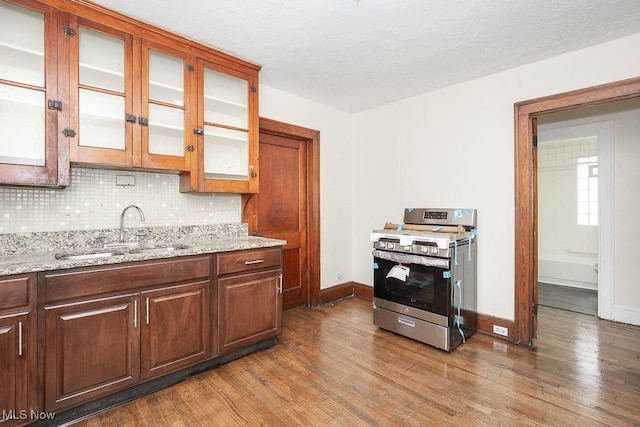 kitchen with stainless steel gas stove, tasteful backsplash, light wood-type flooring, and a sink