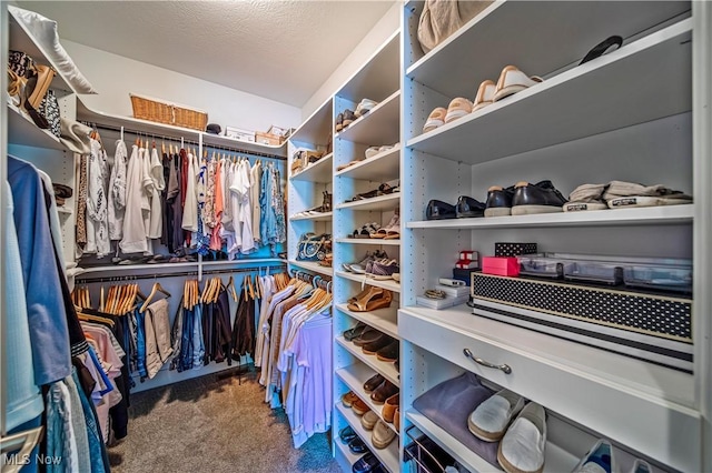 spacious closet featuring carpet floors