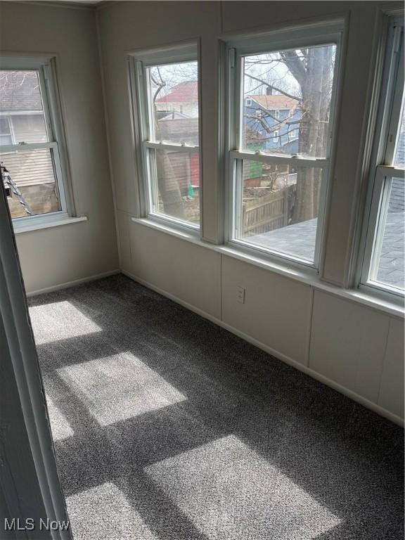 spare room with carpet floors