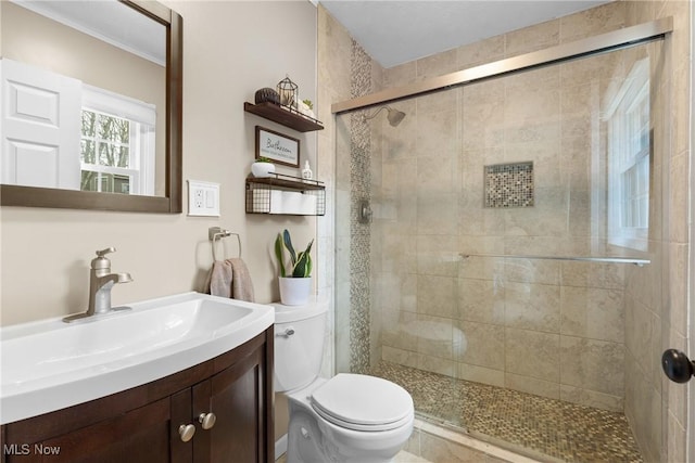 full bathroom featuring a shower stall, toilet, and vanity