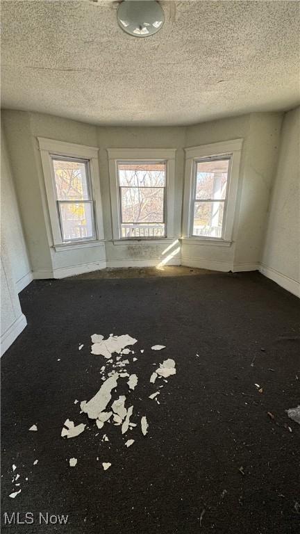 carpeted spare room featuring plenty of natural light, a textured ceiling, and baseboards