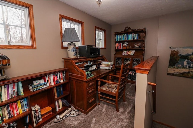 carpeted office space with a textured ceiling