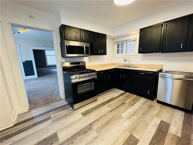 kitchen with light wood finished floors, dark cabinetry, stainless steel appliances, and a sink