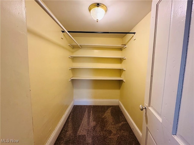 walk in closet featuring carpet flooring