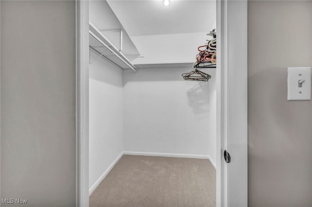 walk in closet featuring carpet floors