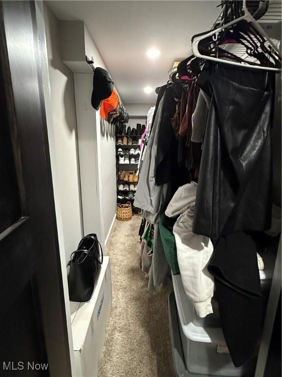 spacious closet featuring carpet floors