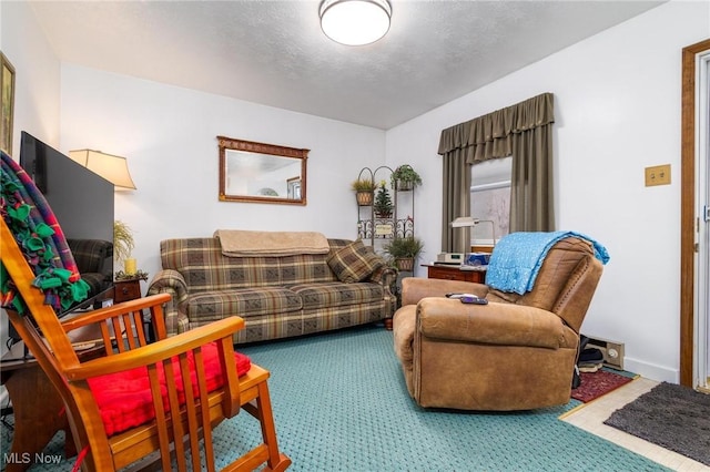 view of carpeted living area