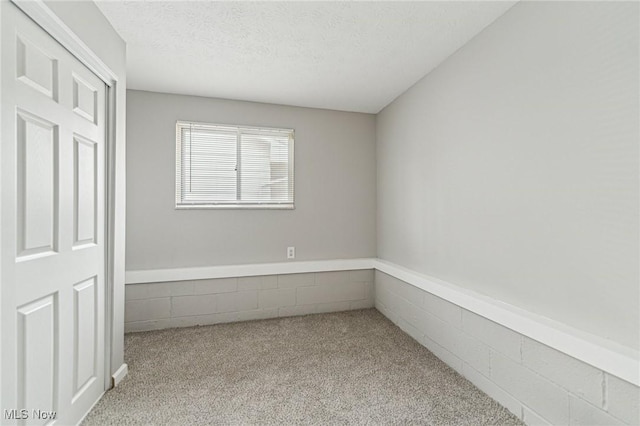 carpeted spare room featuring a textured ceiling