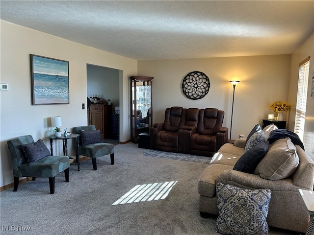 living room with carpet floors and a textured ceiling