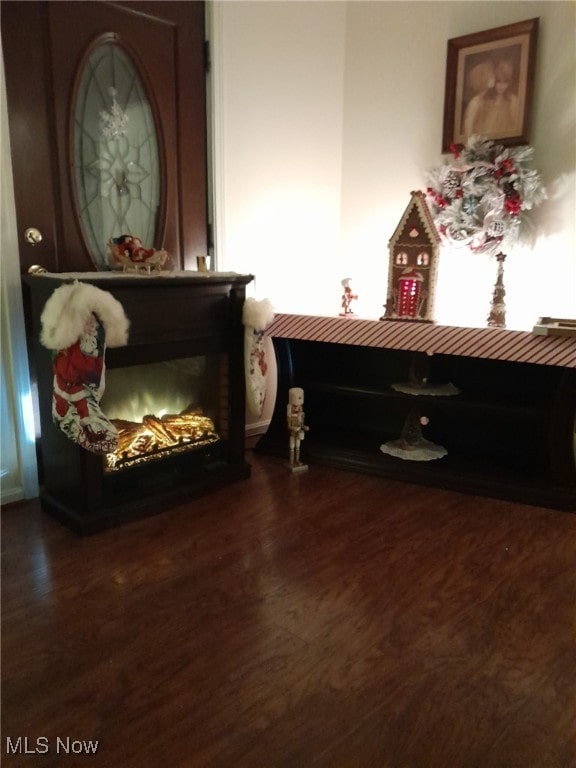 living area featuring dark wood-style flooring and a fireplace