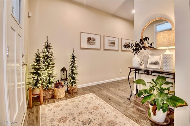 interior space with baseboards and wood finished floors