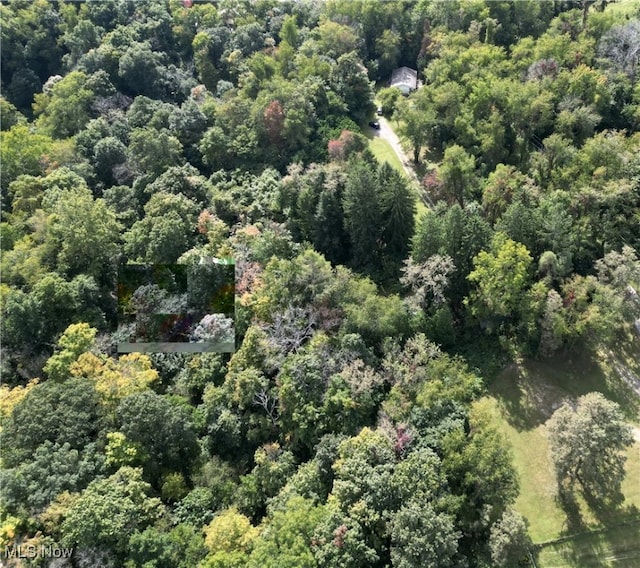 aerial view with a forest view