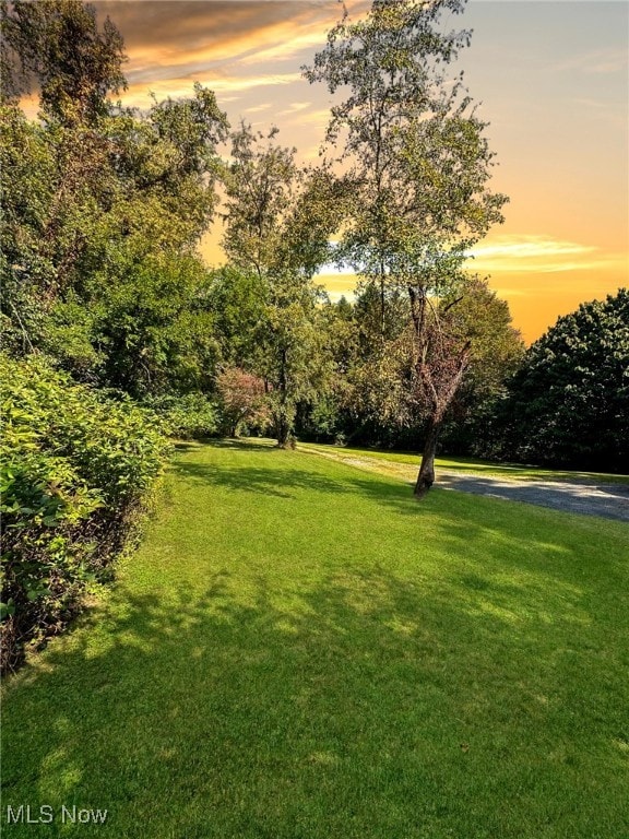 view of yard at dusk