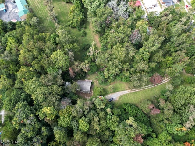 aerial view with a view of trees