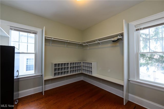 walk in closet featuring wood finished floors