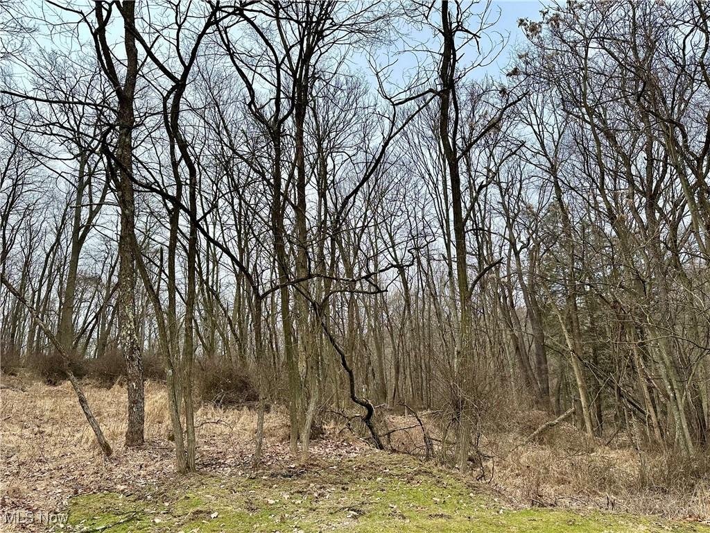 TBD Mchendry St, Weirton, WV 26062