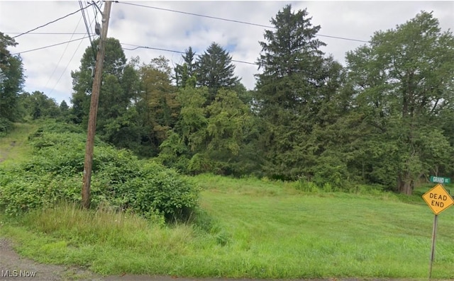 Listing photo 3 for TBD Mchendry St, Weirton WV 26062