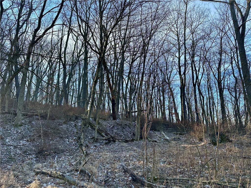 TBD Mchendry St, Weirton, WV 26062