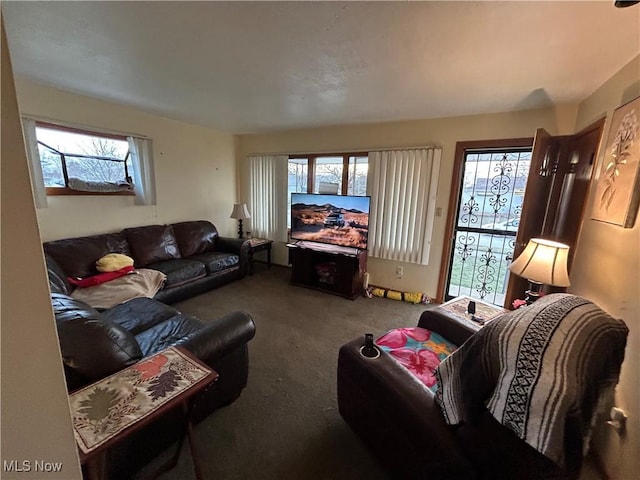 view of carpeted living room