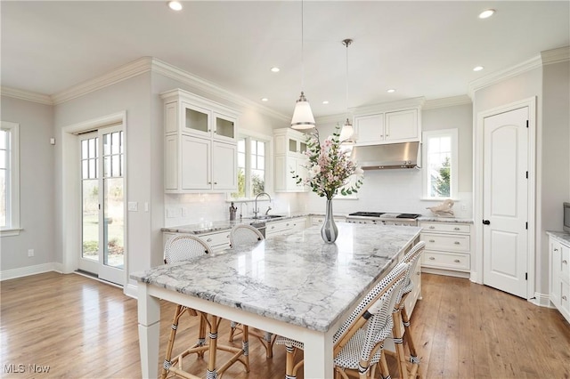 kitchen with light wood finished floors, a healthy amount of sunlight, a sink, under cabinet range hood, and a kitchen bar