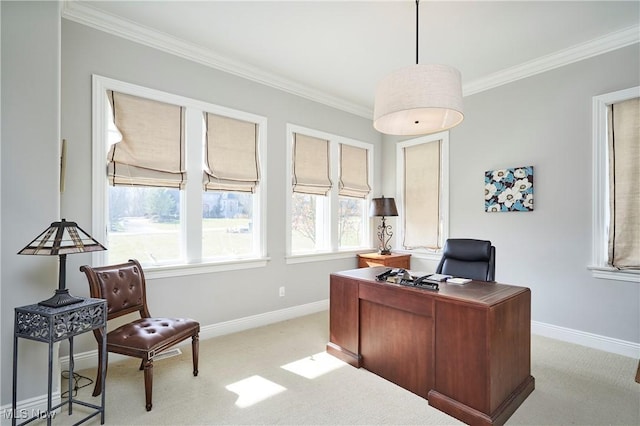 carpeted office with crown molding and baseboards