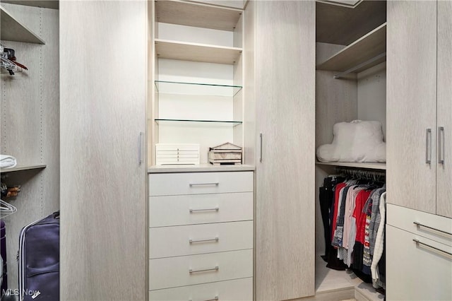 view of spacious closet