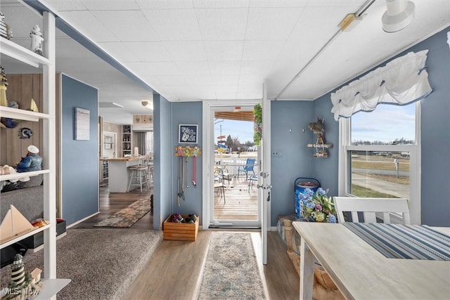 entryway with a wealth of natural light and wood finished floors