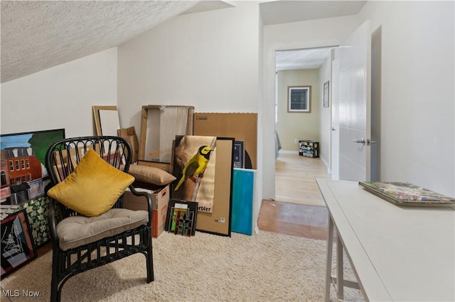 interior space with vaulted ceiling and a textured ceiling