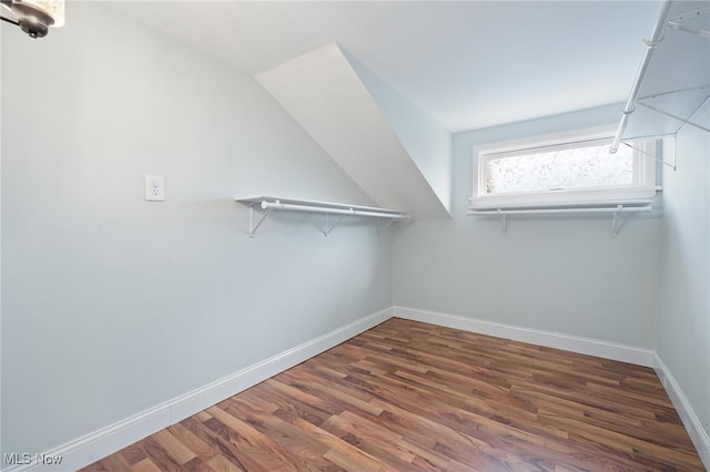 walk in closet featuring wood finished floors