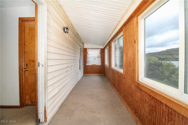 corridor featuring a healthy amount of sunlight, light carpet, and wooden walls