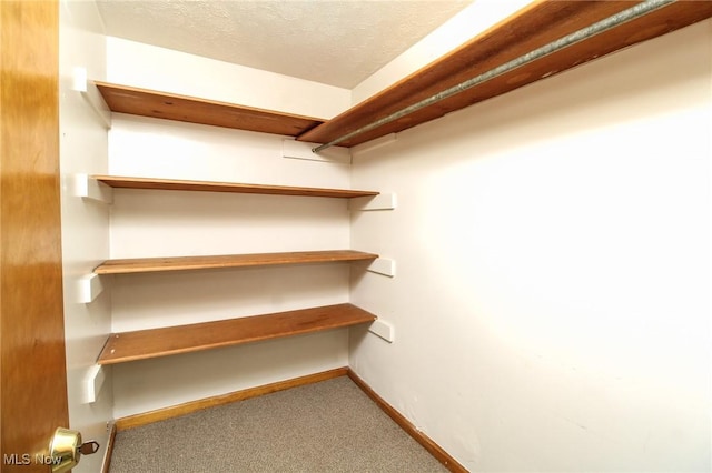 spacious closet with carpet floors