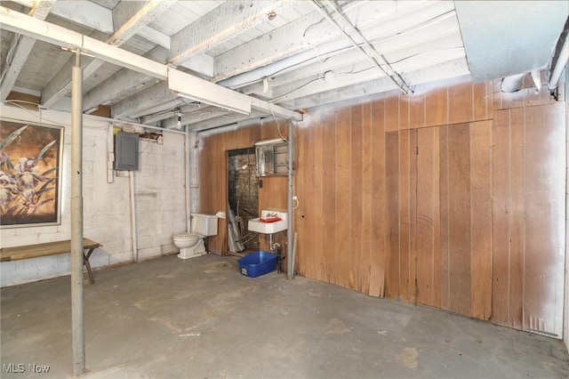 unfinished below grade area with wood walls and electric panel