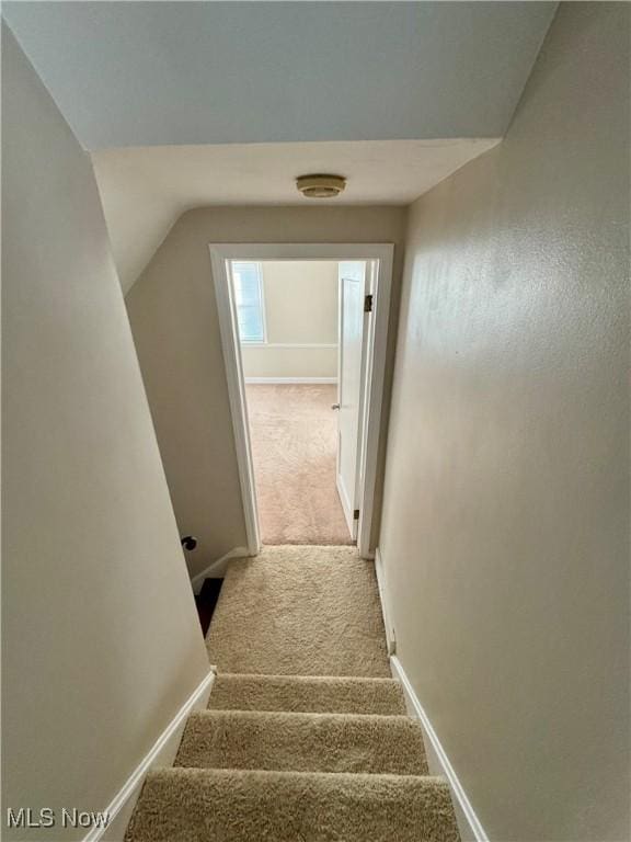 stairs with vaulted ceiling, carpet floors, and baseboards