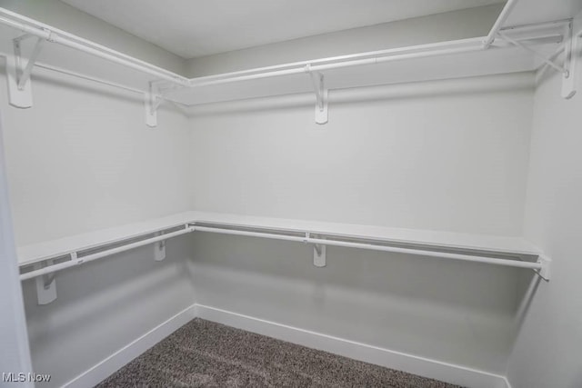 walk in closet with dark colored carpet