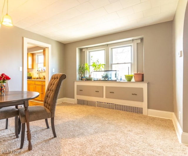 interior space featuring carpet floors, a sink, and baseboards