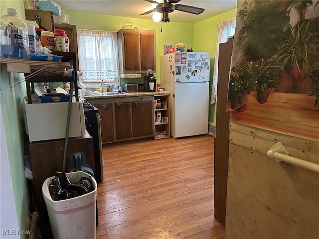 kitchen featuring a ceiling fan, light wood-style floors, light countertops, freestanding refrigerator, and open shelves