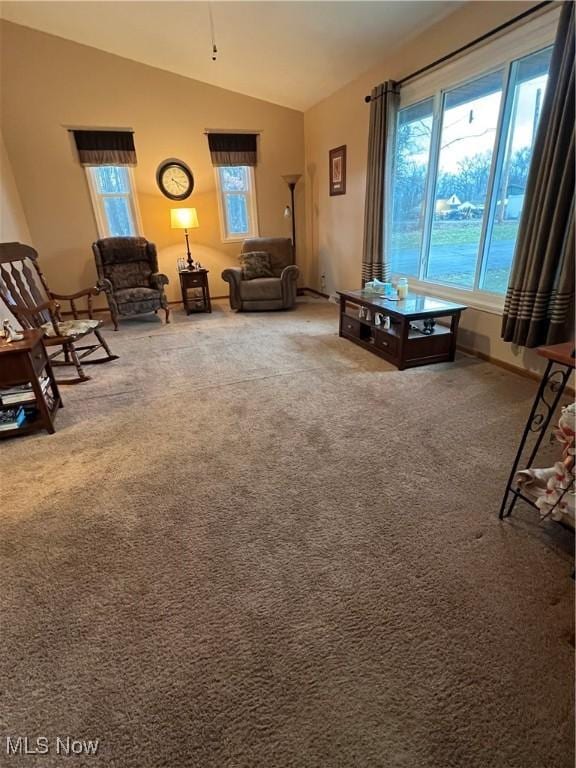 1025 Ohltown Rd, Youngstown, OH 44515 - living area with vaulted ceiling, carpet flooring, and baseboards