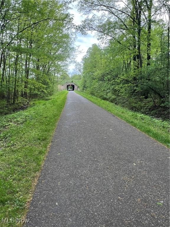 1025 Ohltown Rd, Youngstown, OH 44515 - view of street