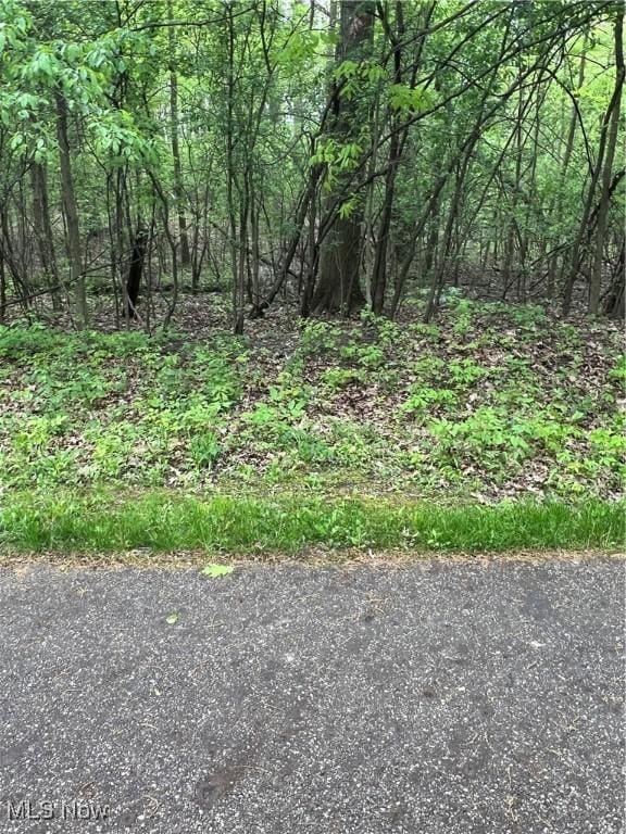 1025 Ohltown Rd, Youngstown, OH 44515 - view of wooded area